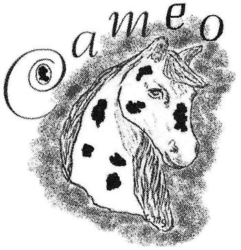 Cameo Enterprises Inc.